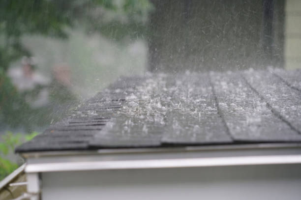 Trusted Bolindale, OH Roofing Experts