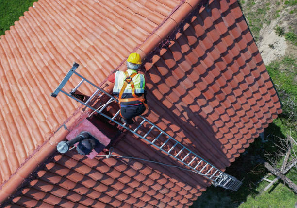 Best Asphalt Shingles Roofing  in Bolindale, OH